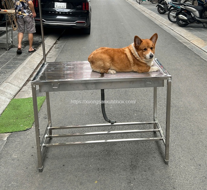 Bàn mổ inox thú cưng