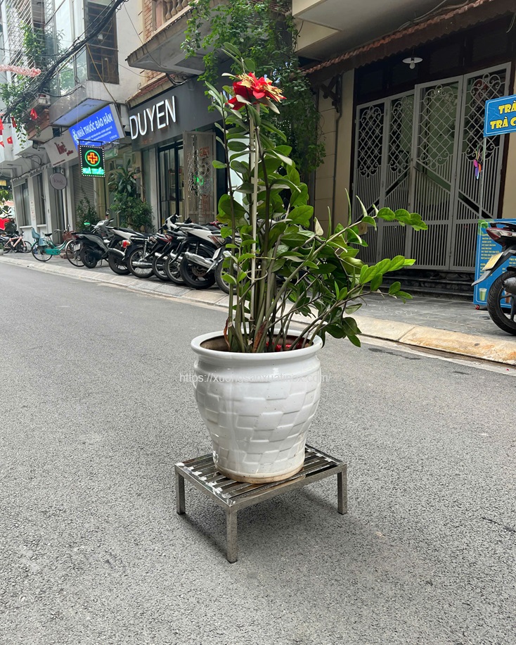 ke-inox-de-chau-hoa-gia-dinh-2 ke-inox-de-chau-hoa-gia-dinh-2