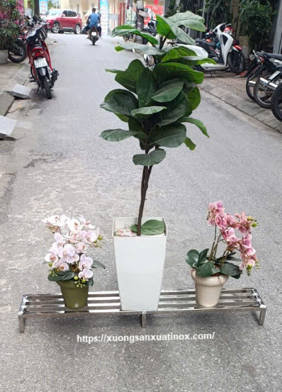 Tư vấn kệ để hoa inox
