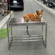 Bàn mổ inox thú cưng