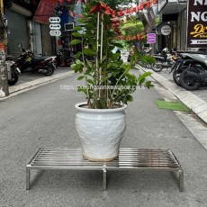 Kệ inox 1 tầng để cây cảnh