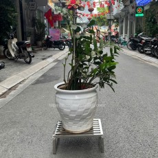 Kệ inox để chậu hoa gia đình